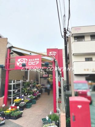 ロピア 希望が丘店の画像