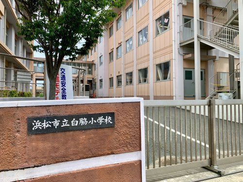 浜松市立白脇小学校の画像