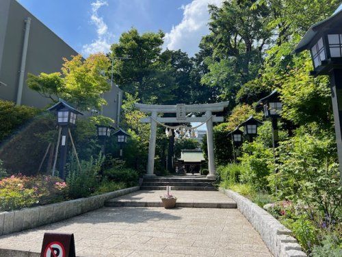 星川杉山神社の画像