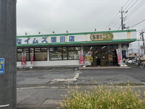 ドラッグセイムス 蓮田店の画像