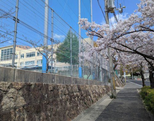 神戸市立住吉中学校の画像