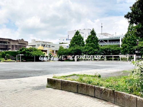 港南ふれあい公園の画像