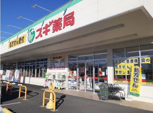 スギ薬局 群馬町店の画像