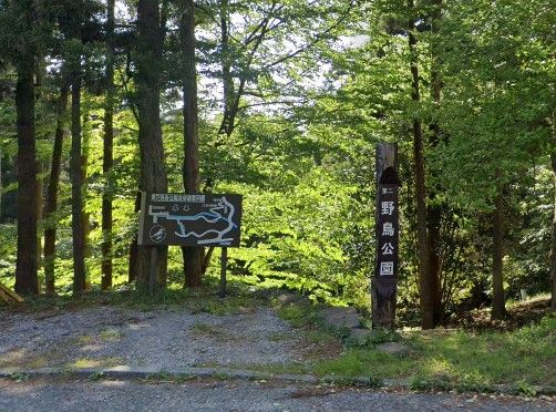 第二野鳥公園の画像