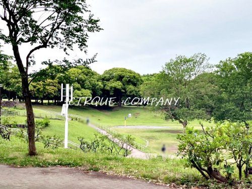 岸根公園の画像