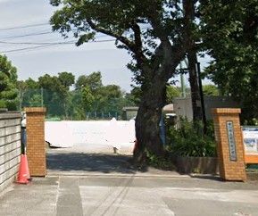 市川市立国府台小学校の画像