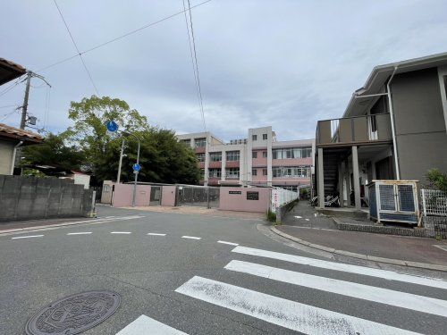 八尾市立志紀小学校の画像