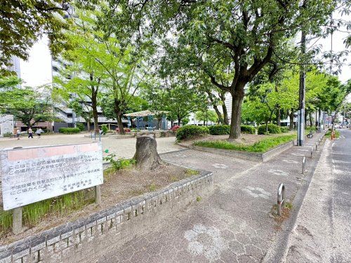 布池公園の画像