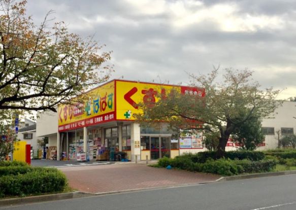 どらっぐぱぱす 赤塚新町店の画像