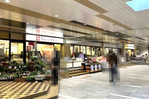 東急ストア 菊名店の画像