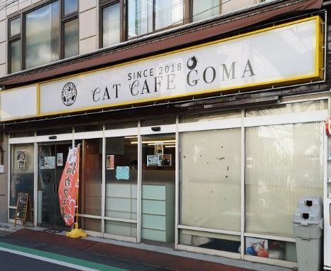 猫カフェ GOMA(ゴマ)の画像