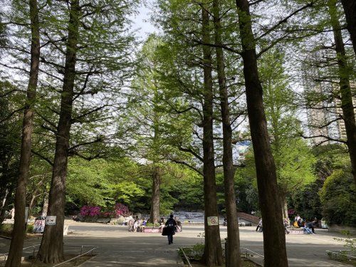 東池袋中央公園の画像