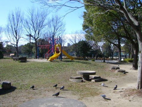 楠公園の画像