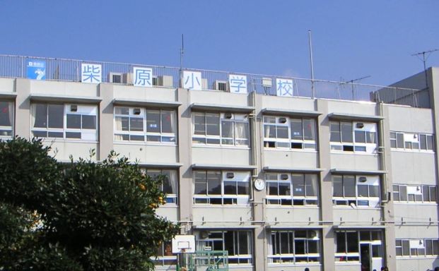 葛飾区立柴原小学校の画像