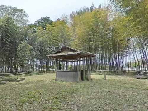 竹林公園の画像