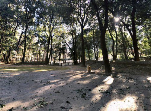 群馬県立公園 アイ・ディー・エー 群馬の森の画像