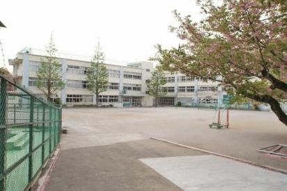 杉並区立 杉並第八小学校の画像