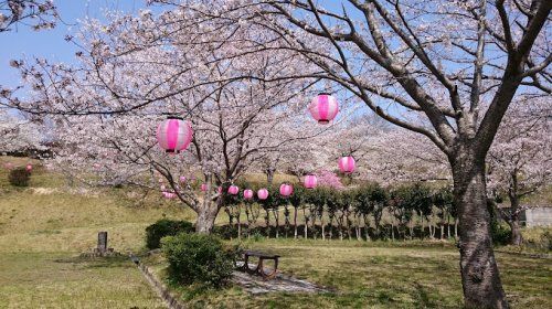 亀迫城山公園の画像