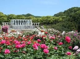 神戸市立須磨離宮公園の画像