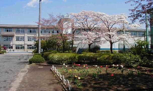 八王子市立 松枝小学校の画像