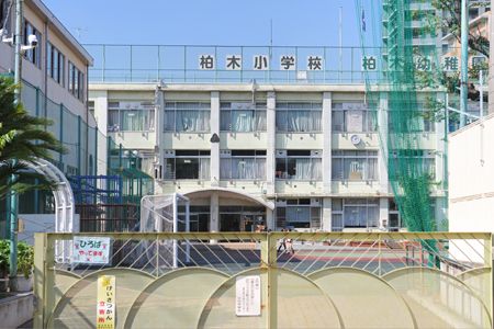 八王子市立 柏木小学校の画像