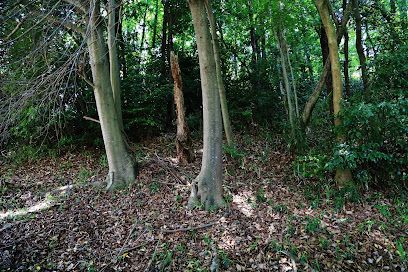 桜井茶臼山古墳の画像