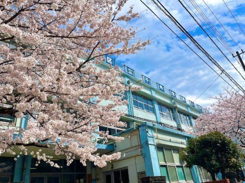 足立区立千寿常東小学校の画像