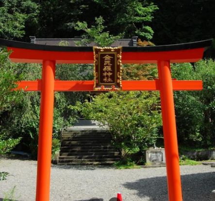 金毘羅神社の画像