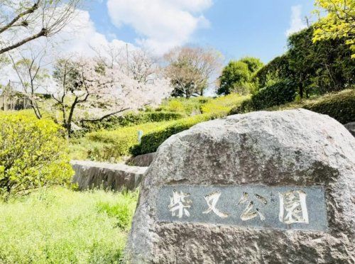 柴又公園の画像