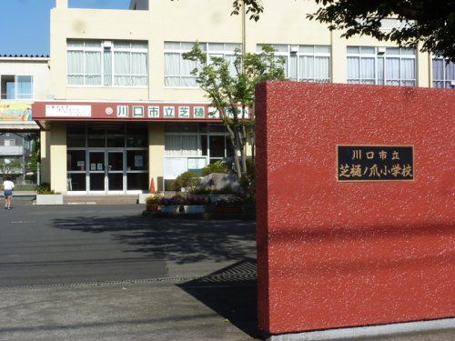 川口市立芝樋ノ爪小学校の画像