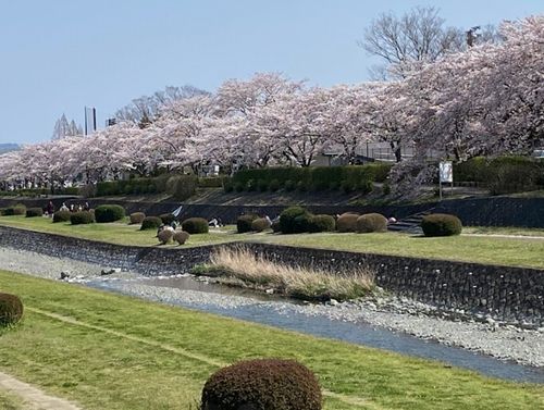 中央運動公園の画像