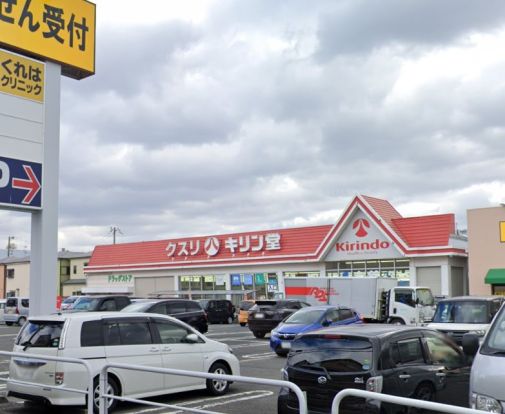 キリン堂 沢良宜店の画像