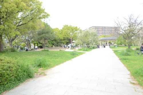 光徳公園の画像