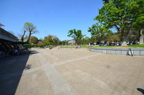 岡崎公園の画像