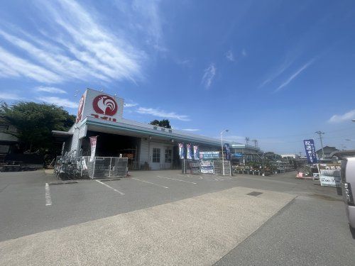 コメリハード＆グリーン　埼玉花園店の画像