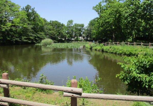 菊名池公園の画像