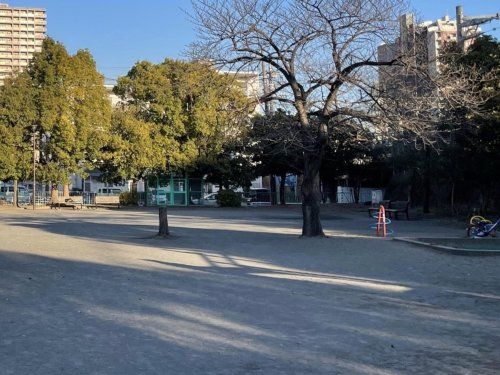 大安寺公園の画像