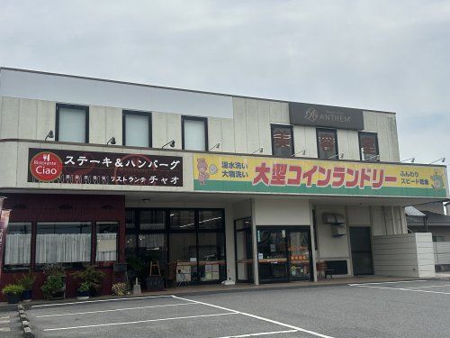 ララ・ドリーム岡本店の画像