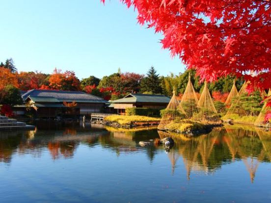 白鳥庭園の画像