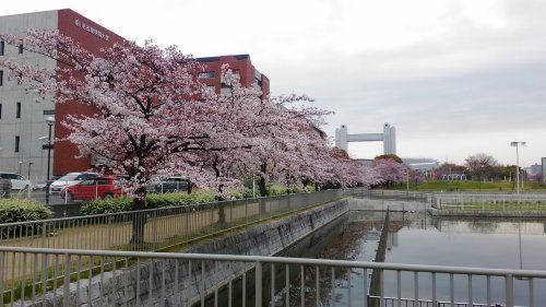 名古屋学院大学 名古屋キャンパスしろとりの画像