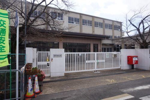 京都市立南太秦小学校の画像