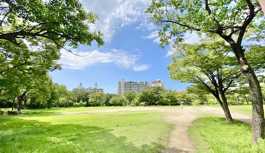 向洋西公園の画像