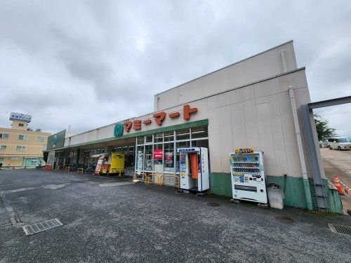 マミーマート 小手指店の画像