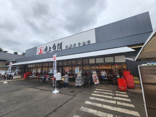 角上魚類 所沢店の画像