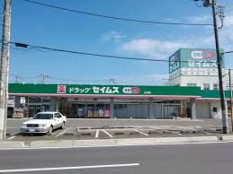 ドラッグセイムス 乙女店の画像