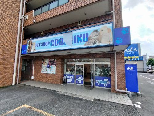 ペットショップCoo&RIKU 所沢店の画像