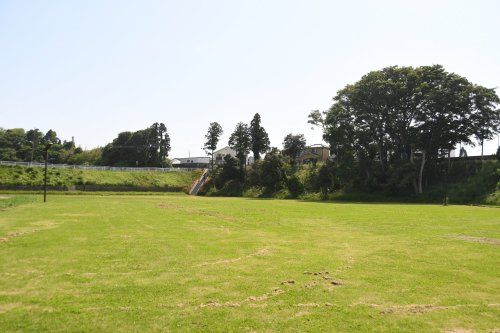 親水性中央公園の画像