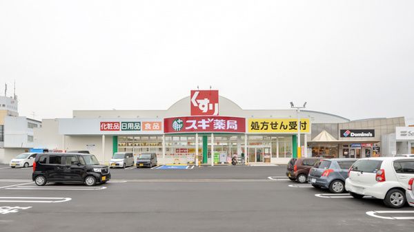 スギ薬局 南永井町店の画像