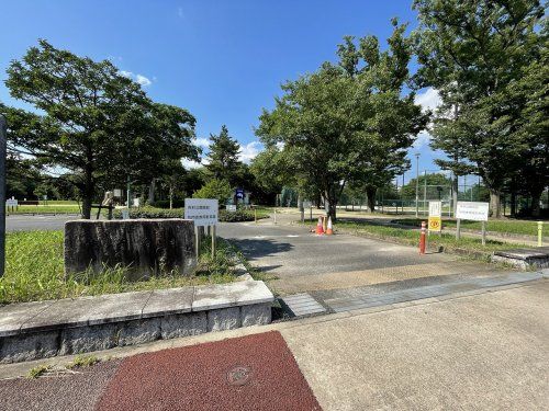 志賀公園野球場の画像