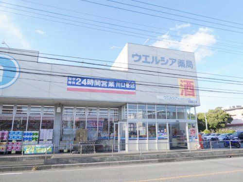 ウエルシア薬局川口峯店の画像